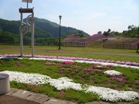 DSCI5548.jpg