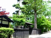 DSCI5579.jpg