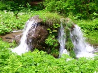 DSCI5647.jpg