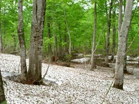 DSCI5663.jpg
