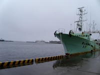DSCI5761.jpg