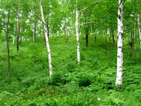 DSCI5890.jpg
