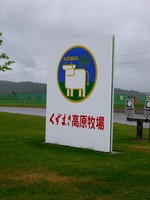 DSCI5901.jpg