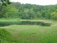 DSCI6092.jpg