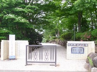 DSCI6131.jpg