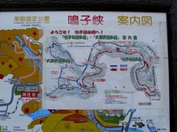 DSCI6337.jpg